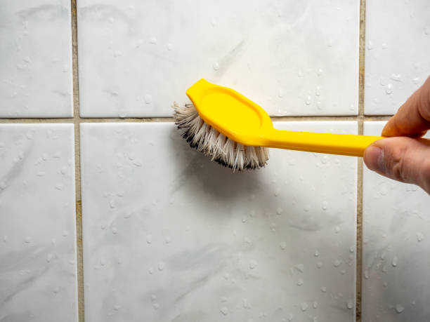 Best Mold Removal Company Near Me  in Mcsherrystown, PA