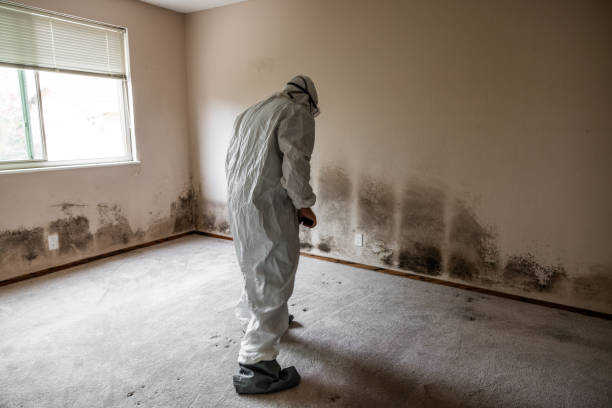 Best Residential Mold Removal  in Mcsherrystown, PA